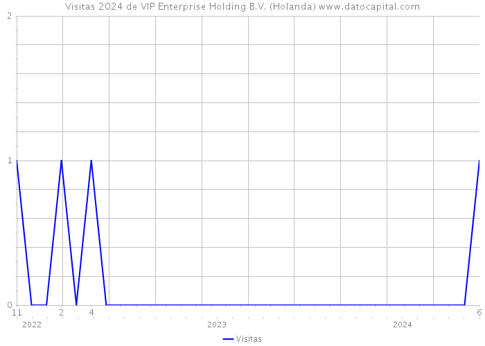 Visitas 2024 de VIP Enterprise Holding B.V. (Holanda) 