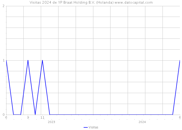 Visitas 2024 de YP Braat Holding B.V. (Holanda) 