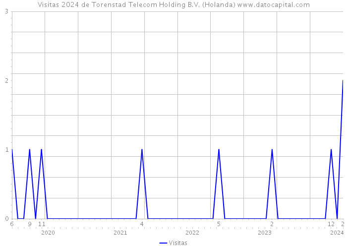 Visitas 2024 de Torenstad Telecom Holding B.V. (Holanda) 