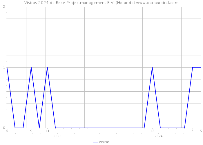 Visitas 2024 de Beke Projectmanagement B.V. (Holanda) 