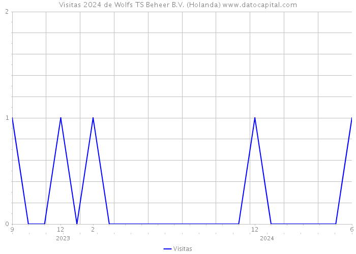 Visitas 2024 de Wolfs TS Beheer B.V. (Holanda) 