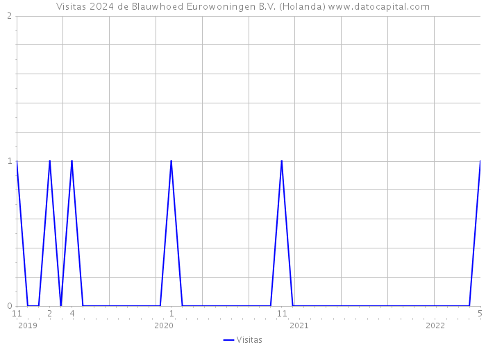Visitas 2024 de Blauwhoed Eurowoningen B.V. (Holanda) 