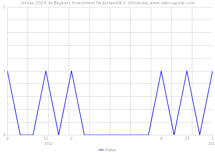 Visitas 2024 de Beukers Investment Nederland B.V. (Holanda) 