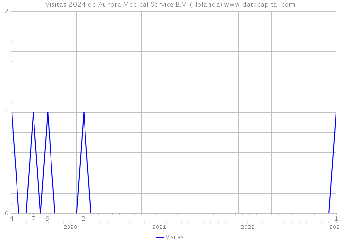 Visitas 2024 de Aurora Medical Service B.V. (Holanda) 