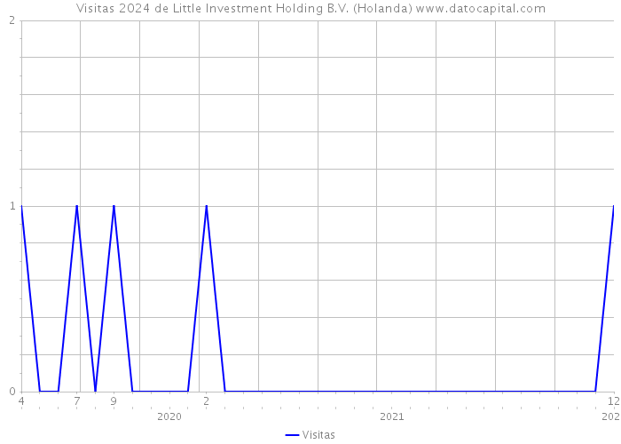 Visitas 2024 de Little Investment Holding B.V. (Holanda) 
