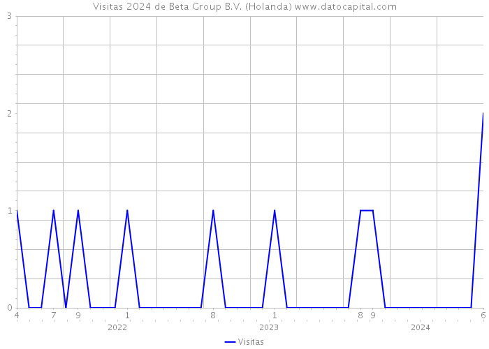 Visitas 2024 de Beta Group B.V. (Holanda) 