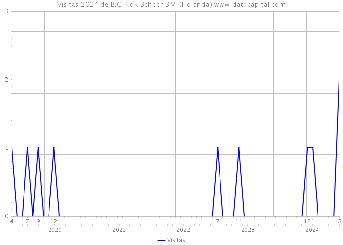 Visitas 2024 de B.C. Kok Beheer B.V. (Holanda) 