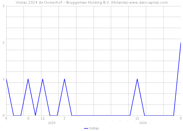 Visitas 2024 de Oosterhof - Bruggeman Holding B.V. (Holanda) 