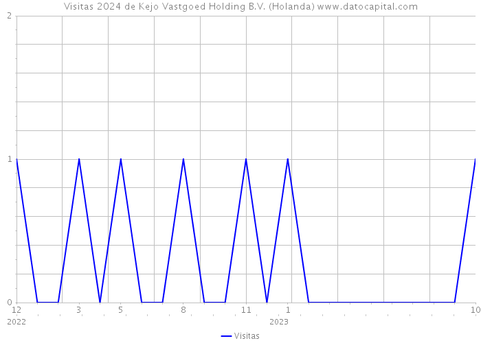 Visitas 2024 de Kejo Vastgoed Holding B.V. (Holanda) 