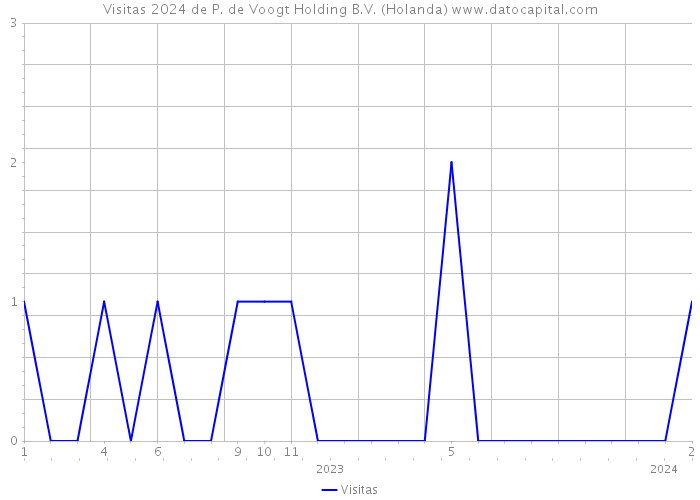 Visitas 2024 de P. de Voogt Holding B.V. (Holanda) 