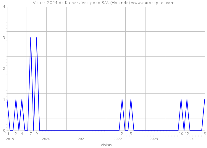 Visitas 2024 de Kuipers Vastgoed B.V. (Holanda) 