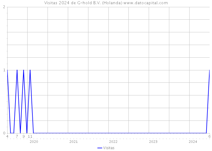 Visitas 2024 de G-hold B.V. (Holanda) 