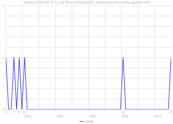 Visitas 2024 de T.C.J. de Reus Holding B.V. (Holanda) 