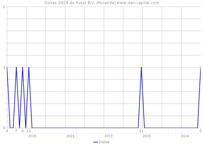 Visitas 2024 de Avsar B.V. (Holanda) 