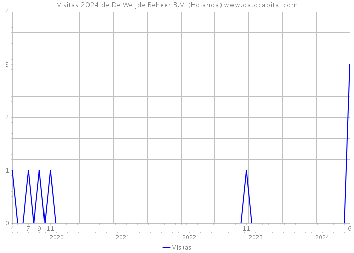 Visitas 2024 de De Weijde Beheer B.V. (Holanda) 