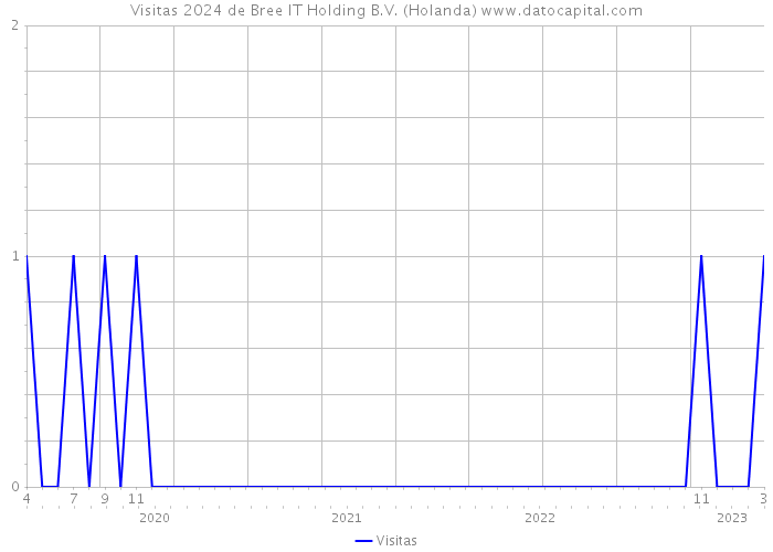 Visitas 2024 de Bree IT Holding B.V. (Holanda) 