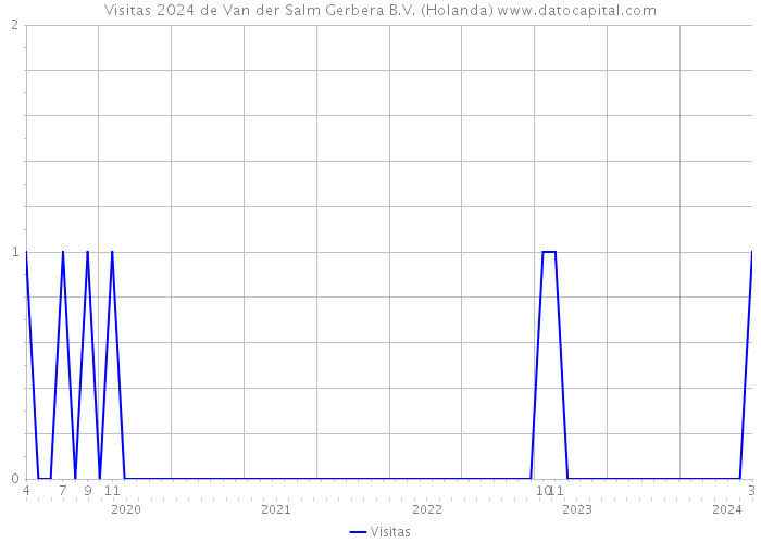 Visitas 2024 de Van der Salm Gerbera B.V. (Holanda) 