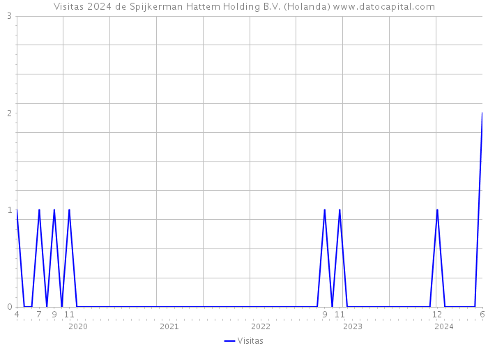 Visitas 2024 de Spijkerman Hattem Holding B.V. (Holanda) 