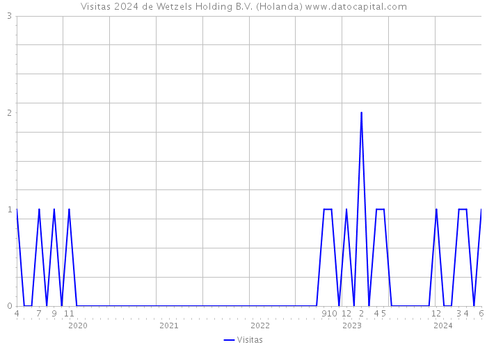 Visitas 2024 de Wetzels Holding B.V. (Holanda) 