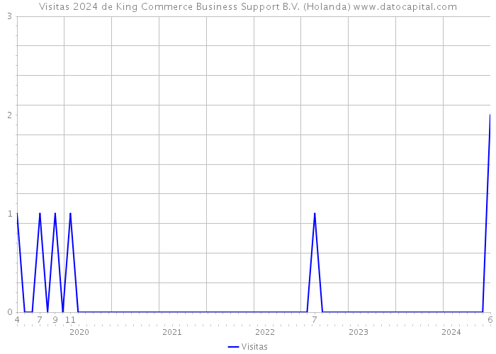 Visitas 2024 de King Commerce Business Support B.V. (Holanda) 