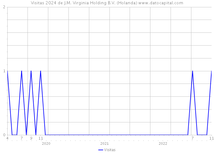 Visitas 2024 de J.M. Virginia Holding B.V. (Holanda) 