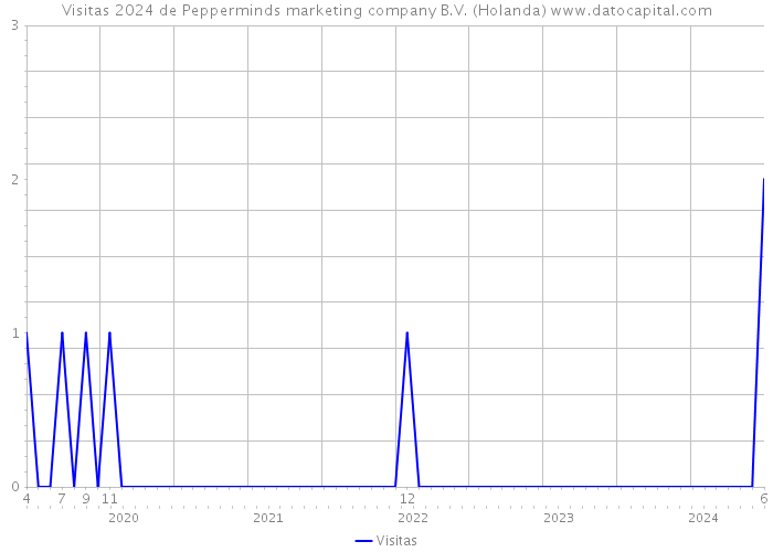 Visitas 2024 de Pepperminds marketing company B.V. (Holanda) 