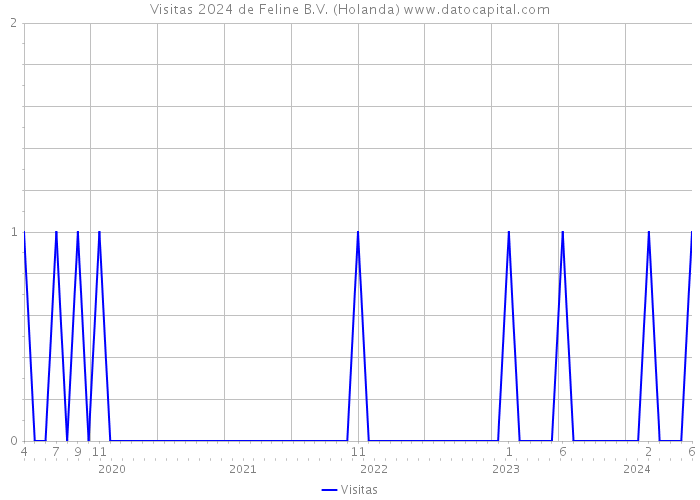 Visitas 2024 de Feline B.V. (Holanda) 