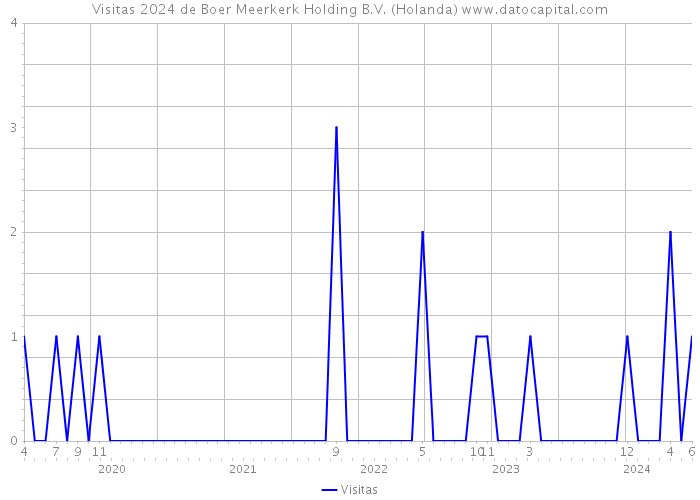 Visitas 2024 de Boer Meerkerk Holding B.V. (Holanda) 