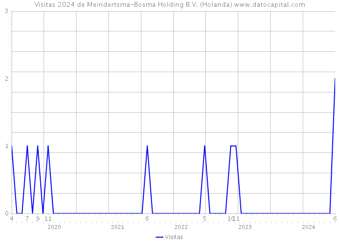 Visitas 2024 de Meindertsma-Bosma Holding B.V. (Holanda) 