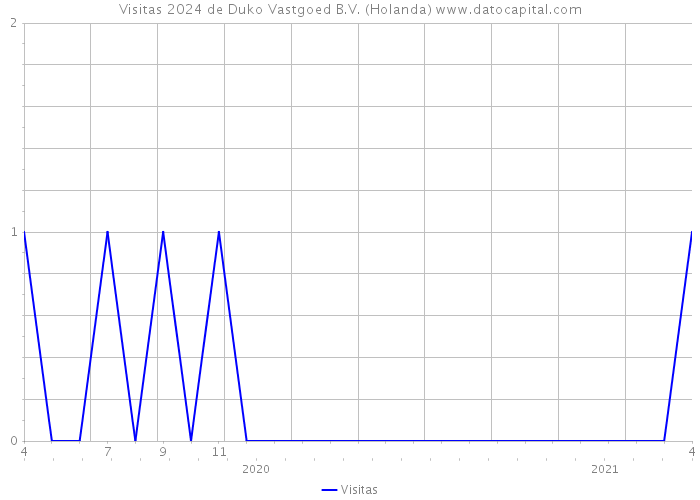 Visitas 2024 de Duko Vastgoed B.V. (Holanda) 