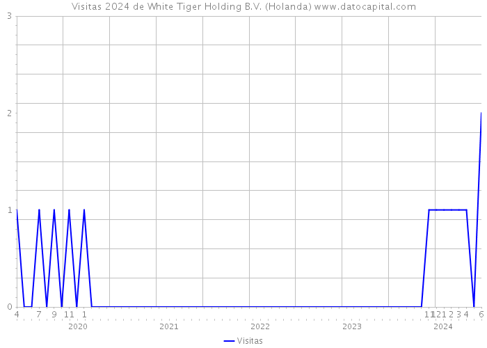 Visitas 2024 de White Tiger Holding B.V. (Holanda) 
