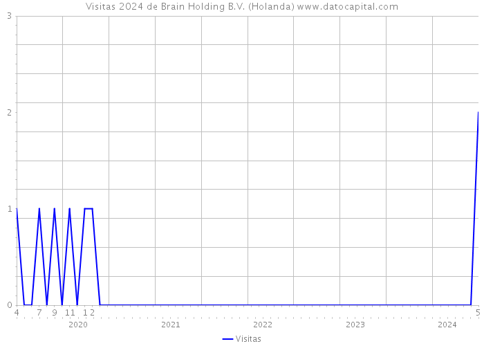 Visitas 2024 de Brain Holding B.V. (Holanda) 