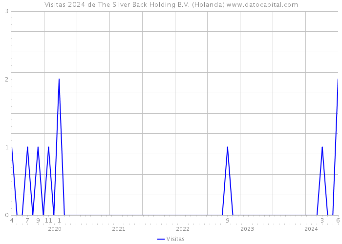 Visitas 2024 de The Silver Back Holding B.V. (Holanda) 