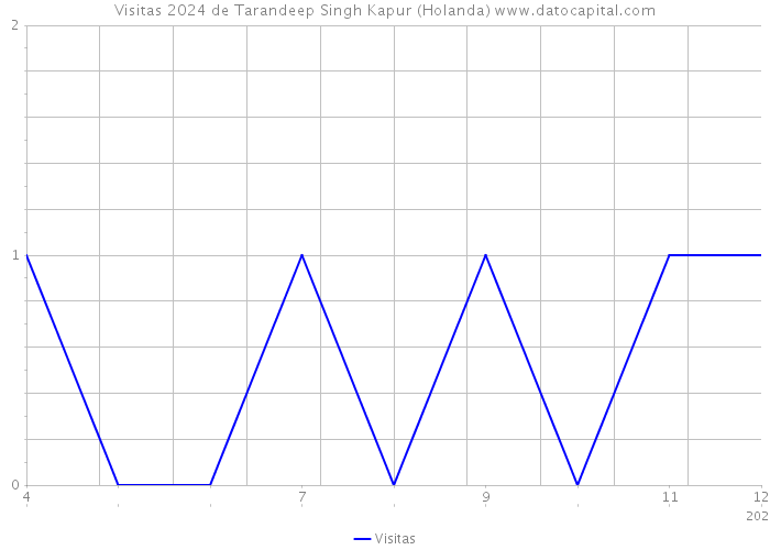 Visitas 2024 de Tarandeep Singh Kapur (Holanda) 