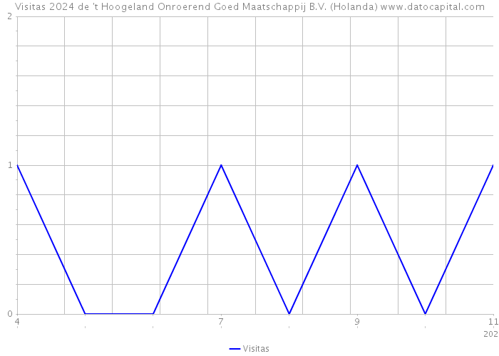 Visitas 2024 de 't Hoogeland Onroerend Goed Maatschappij B.V. (Holanda) 