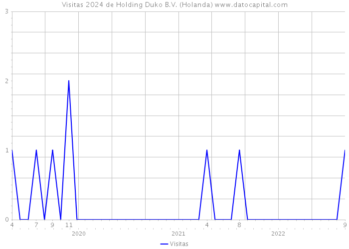 Visitas 2024 de Holding Duko B.V. (Holanda) 