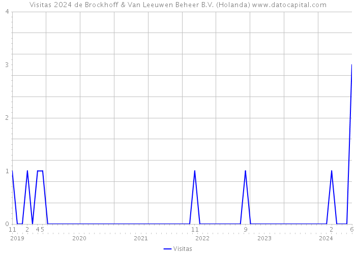 Visitas 2024 de Brockhoff & Van Leeuwen Beheer B.V. (Holanda) 