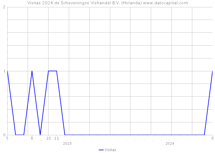 Visitas 2024 de Scheveningse Vishandel B.V. (Holanda) 