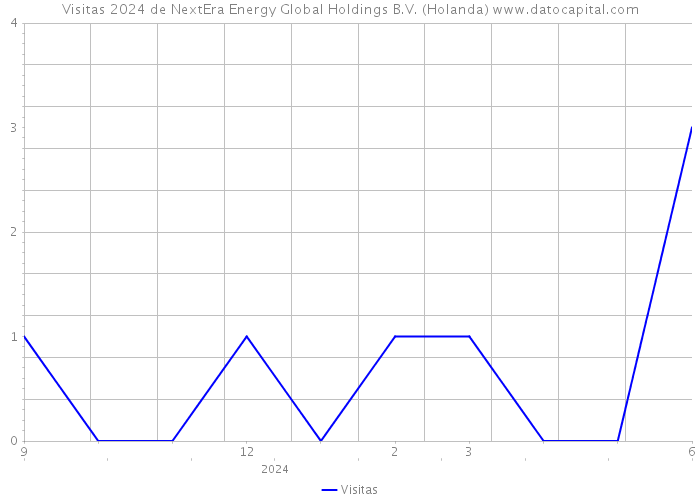 Visitas 2024 de NextEra Energy Global Holdings B.V. (Holanda) 