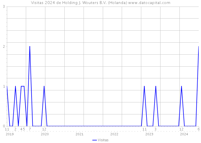 Visitas 2024 de Holding J. Wouters B.V. (Holanda) 