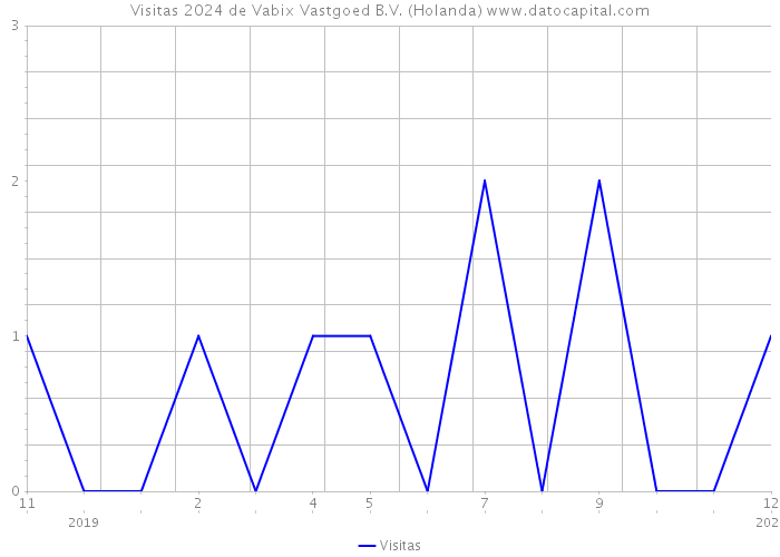 Visitas 2024 de Vabix Vastgoed B.V. (Holanda) 