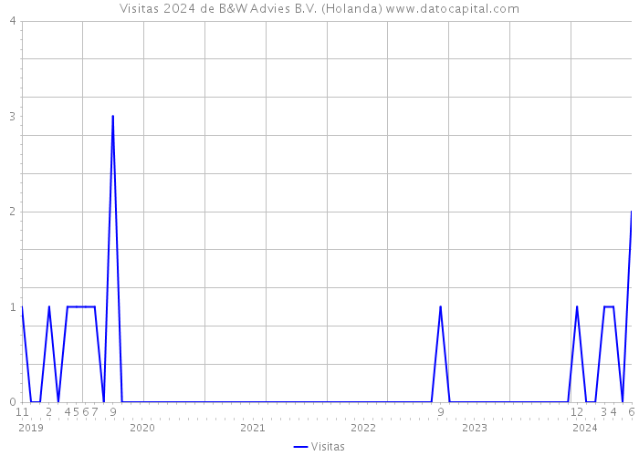 Visitas 2024 de B&W Advies B.V. (Holanda) 