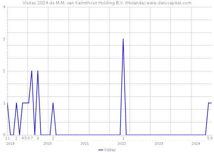 Visitas 2024 de M.M. van Kalmthout Holding B.V. (Holanda) 