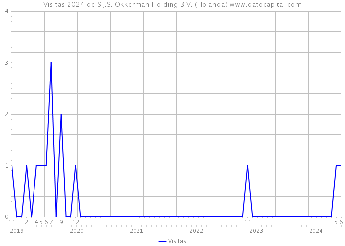 Visitas 2024 de S.J.S. Okkerman Holding B.V. (Holanda) 