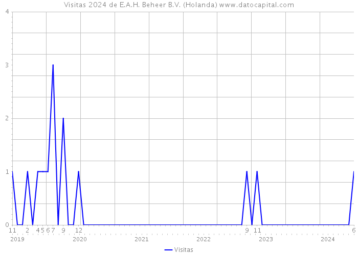 Visitas 2024 de E.A.H. Beheer B.V. (Holanda) 