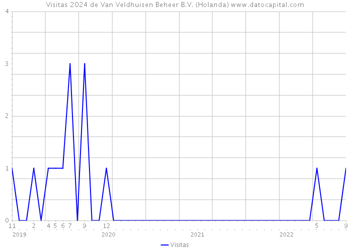 Visitas 2024 de Van Veldhuisen Beheer B.V. (Holanda) 