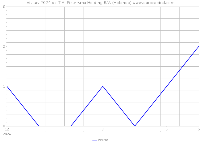 Visitas 2024 de T.A. Pietersma Holding B.V. (Holanda) 