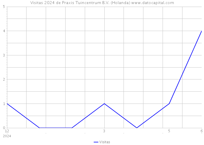 Visitas 2024 de Praxis Tuincentrum B.V. (Holanda) 