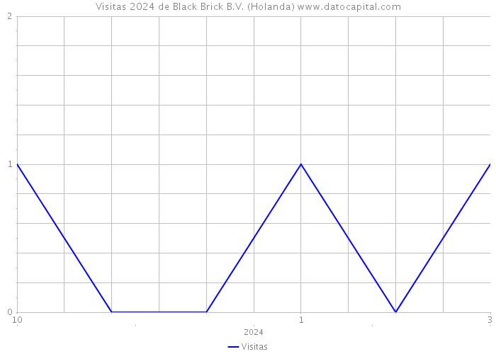 Visitas 2024 de Black Brick B.V. (Holanda) 