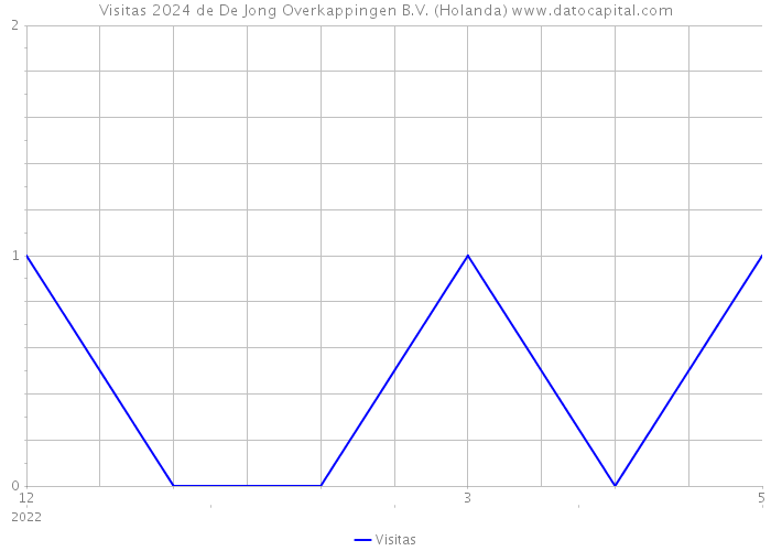 Visitas 2024 de De Jong Overkappingen B.V. (Holanda) 